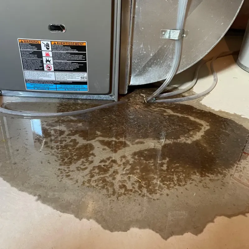 Appliance Leak Cleanup in Harford County, MD